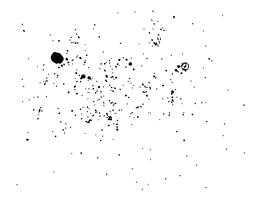 Abstraktes schwarzes Tintenspritzenaquarell, Spritzenaquarell-Spraybeschaffenheit lokalisiert auf weißem Hintergrund. Vektor-illustration vektor