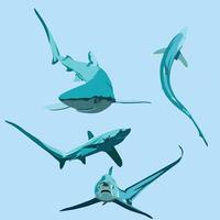 haj vektor karaktär djur illustration set