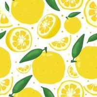 Yuzu japanische Zitronenfrucht nahtlose Muster-Vektor-Illustration isoliert auf weißem Hintergrund. vektor