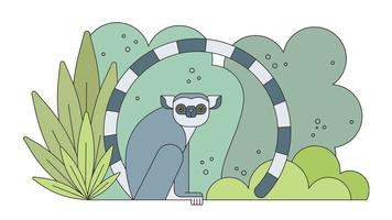 lemur madagascar vektor