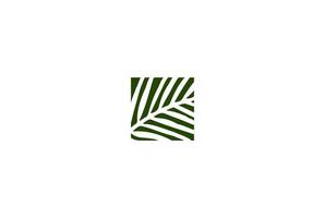 Quadratische Kokospalme Dattelblatt Blätter Natur Garten Logo Design Vektor