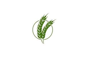 Einfacher minimalistischer goldener Weizenkornreis für Backwaren-Logo-Design vektor