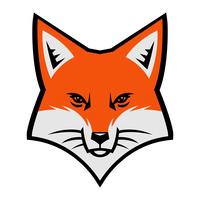 Fox Gesicht Logo Vektor Icon