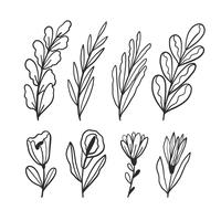 Handgezeichnete Blätter und Blumen Sammlung vektor