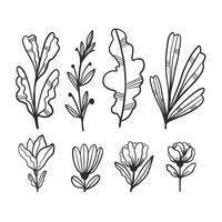 Gullig Doodle Leaves And Flowers Collection vektor