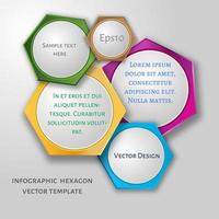 vektor cirkel hexagon infographic.