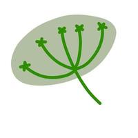 dill i doodle stil. ängsgrön växt och krydda. enkelt naturgräs. vektor