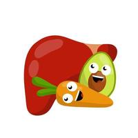 gesunde Leber. menschliches Organ. Lächeln und Emotionen des Charakters. gute Ernährung und Ernährung. flache illustration der karikatur. gesundes Gemüse und Obst - Karotten und Avocados vektor