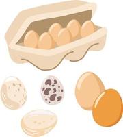 Hühnereier. frische braune eier in einer papierschachtel. gesunde proteinnahrung. Geflügelzucht. für Druck, Broschüren, Geschäfte, Restaurants und Landwirtschaft. Vektor-Cartoon-Illustration. vektor