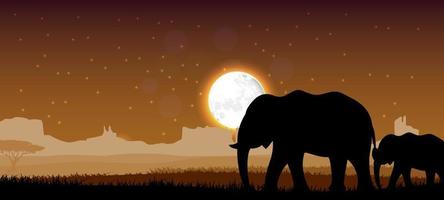 elefantfamiljens solnedgång vektor