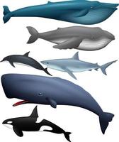 Illustration der Sammlung von Fischen vektor