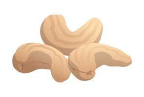 realistiska rostade cashewnötter på vit bakgrund - vektor