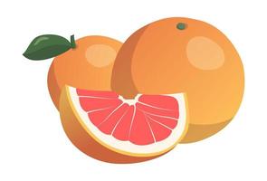 realistische frische reife Grapefruit isoliert auf weißem Hintergrund - Vektor