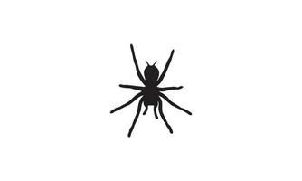 spindel vektor illustration design svart och vitt