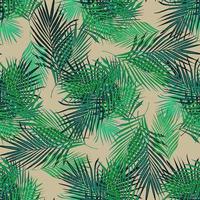 nahtloses muster der tropischen palme. Tapete mit Farnblättern. vektor