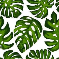 exotische tropische monstera verlässt nahtloses muster. tropisches Muster vektor