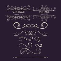 Vintage Decorations Elements. Blomstra Calligraphic Ornaments and Frames.vector illustration vektor