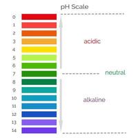 vertikale pH-Skala zur Messung des Säure-Basen-Gleichgewichts. chemische Wertprüfung. Infografiken mit Indikatordiagramm. Vektor-Illustration vektor