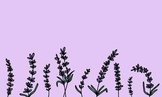 schöner Hintergrund mit handgezeichneten Lavendelblüten, Heilkräutern. um ein Banner, Poster, Postkarten zu erstellen. Vektor-Illustration lila Hintergrund. das Konzept der französischen Provence, ein botanischer Trend. vektor