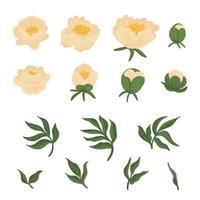 samling av löv, knoppar, blommor beige pioner. uppsättning av blommiga element isolerade på vitt. handritad botanisk vektorillustration för bröllopsinbjudan, mönster, tapeter, tyg, inslagning vektor