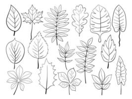 verschiedene Blätter doodle Sammlung Vektor kostenloser Vektor