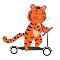 Tiger fährt auf einem Roller, ein süßes Tier. die idee einer figur für eine grußkarte ist eine kinderwandmalerei. vektor