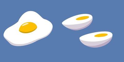 kokt och brutet ägg med äggula, ett halvt ägg. vektor