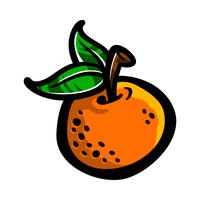Orangenfrucht Illustration