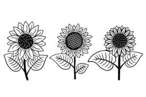 satz sonnenblume lokalisierte dekorative schöne hand gezeichnete illustration vektor