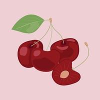 tre röda saftiga körsbär med blad isolerade vektor