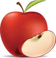 Vektor roter Apfel-Symbol. satz verschiedener roter äpfel lokalisiert auf transparentem hintergrund. Vektor