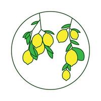 frukt citron färsk med blad på träd logotyp design vektor symbol ikon illustration