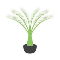 växt phoenix palm logotyp symbol vektor ikon illustration grafisk design