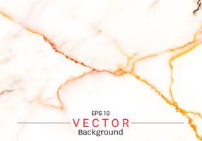Abstrakte weiße Marmorbeschaffenheit, Vektormuster benutzt, um Oberflächeneffekt für Ihr Designprodukt zu schaffen. vektor