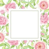 Aquarell schöne englische Rose Blumenstrauß Garten quadratische Banner Hintergrund vektor