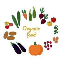 Bio-Lebensmittel. frisches gesundes gemüse und beeren. vektor