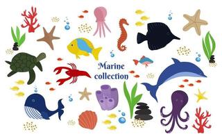 samling av marint liv. delfin, val, bläckfisk, sköldpadda, maneter, kräftor, fisk, alger, koraller, skal. vektorillustration i stil med rithanden. vektor