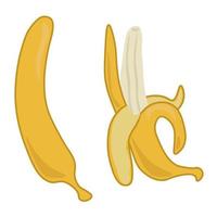 banan hela och delvis skalade, mogna gula bananer vektor