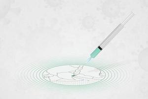 djibouti vaccinationskoncept, vaccininjektion i karta över djibouti. vaccin och vaccination mot coronavirus, covid-19. vektor