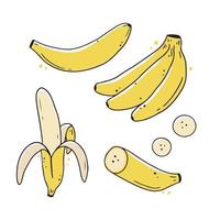 satz von handgezeichneten bananenfrüchten. Doodle-Stil. vektor