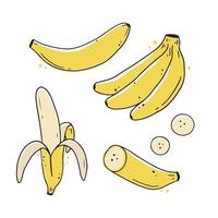 uppsättning handritad bananfrukt. doodle stil. vektor