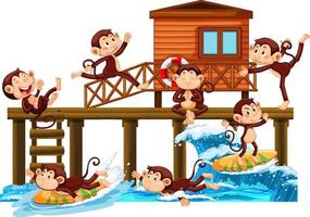 Holzsteg mit vielen Affen, die verschiedene Aktivitäten machen vektor