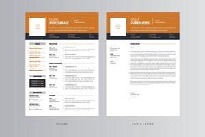 professionell CV och mall för personligt brev. pro vektor
