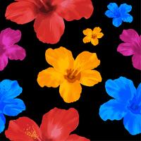 Gul, blå och röd Hibiscus blommor, blommigt sömlöst mönster. Vektor illustration på svart bakgrund.