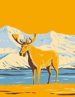 älg eller älg i denali nationalpark och bevara eller montera mckinley i alaska wpa-affischkonst vektor
