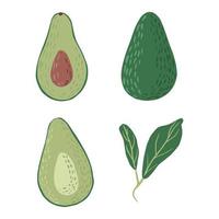 Legen Sie Avocado auf weißem Hintergrund. abstrakte botanische illustration ganz, halb mit samen und zweig im gekritzel. vektor