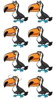 Toucan fågel med olika känslor vektor