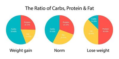 diagrammet förhållandet mellan kolhydrater, fetter och proteiner för viktökning och viktminskning. diet plan ikon. vektor