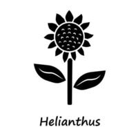 Helianthus-Glyphe-Symbol. Sonnenblumenkopf mit Namensaufschrift. Feld blühende Blume. Landwirtschaftssymbol. Wildpflanze. Sommerblüte. Silhouettensymbol. negativer Raum. vektor isolierte illustration