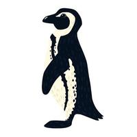 Pinguin Afrikaner isoliert auf weißem Hintergrund. süßer vogel aus dem arktischen handgezeichneten stil. hübsche Zeichentrickfigur. vektor